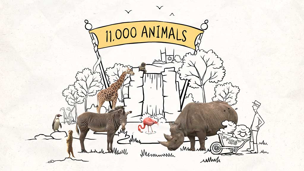 Blobina Animations Chester zoo commercial by Selina Wagner